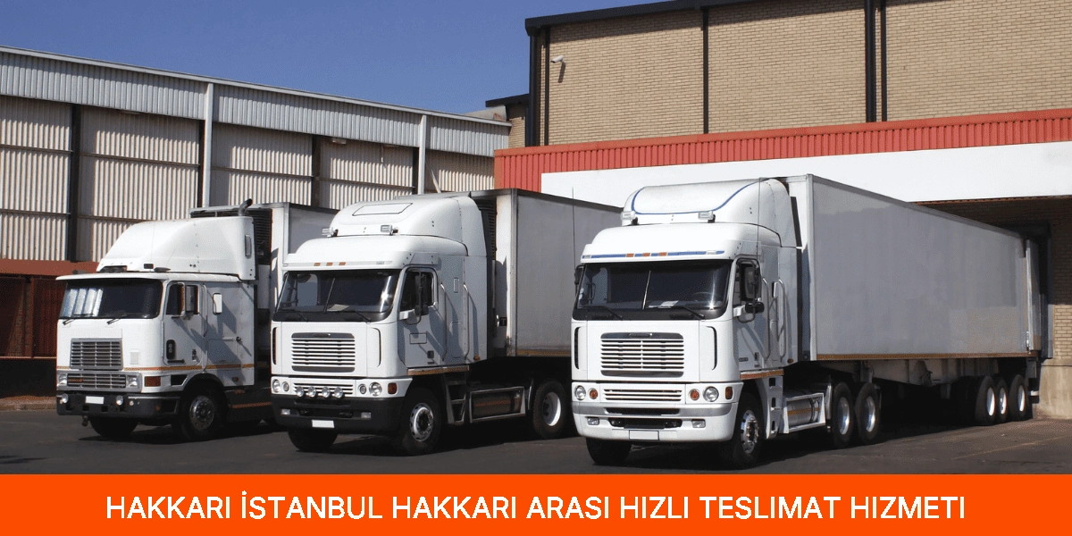 İstanbul Hakkari Arası Hızlı Teslimat Hizmeti