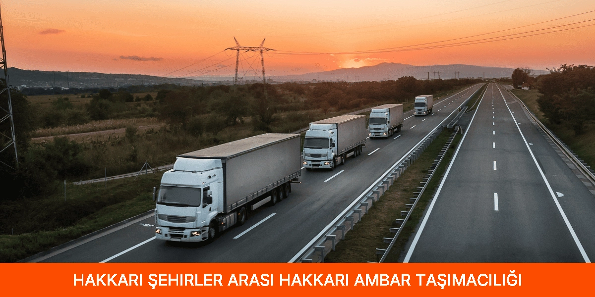 Şehirler Arası Hakkari Ambar Taşımacılığı